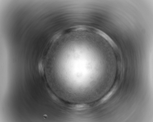 X0000096690857200802121231