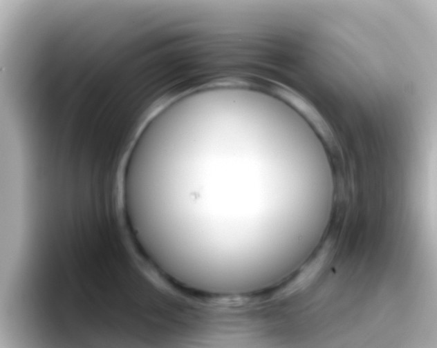 X0000096690858200802121231