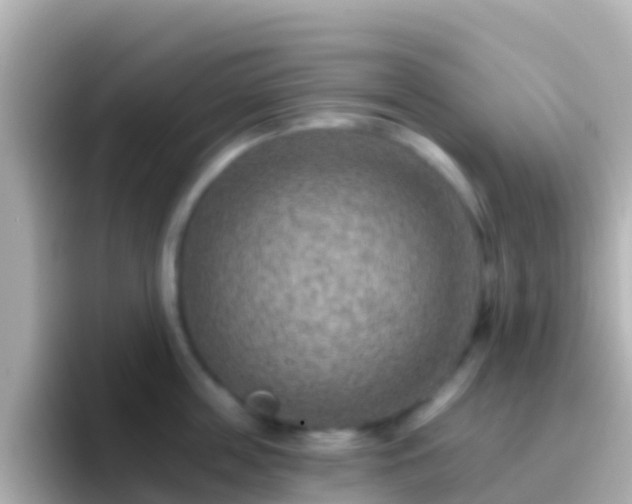 X0000096690859200802121231