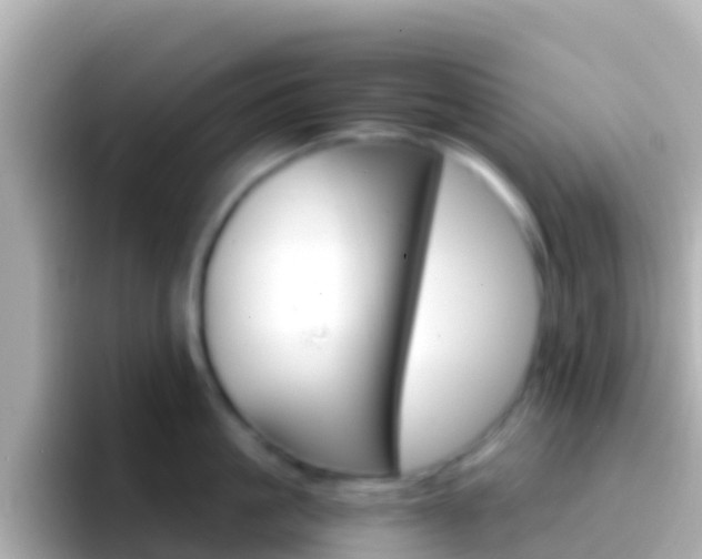 X0000096690861200802121231