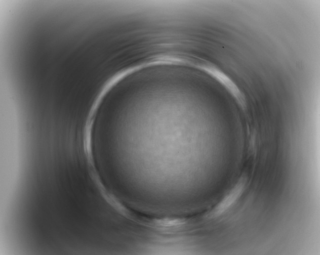 X0000096690862200802121231