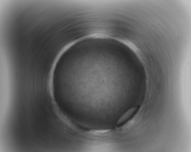 X0000096690864200802121231