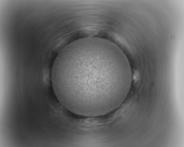 X0000096690867200802121230