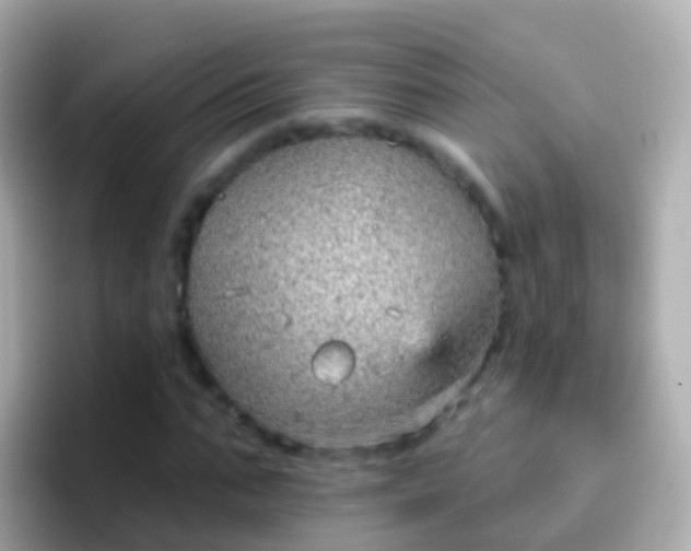 X0000096690871200802121230