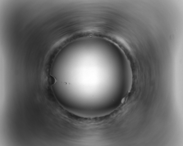 X0000096690872200802121230