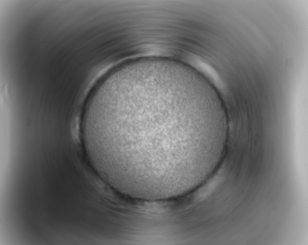 X0000096690875200802121230