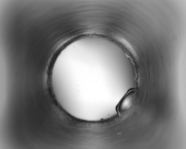 X0000096690876200802121230