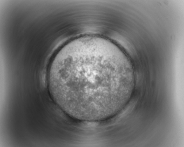 X0000096690878200802121230