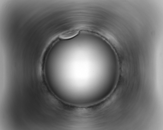 X0000096690880200802121230