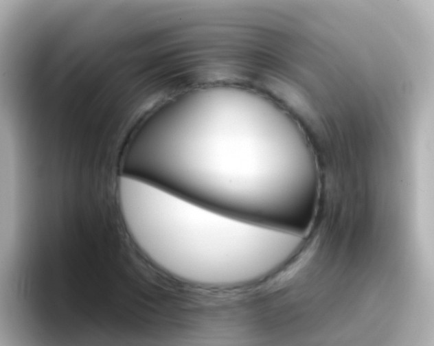 X0000096690881200802121230