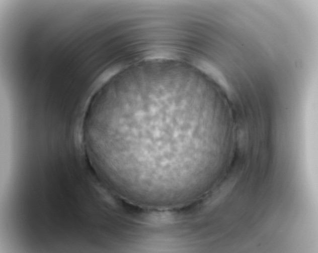 X0000096690882200802121230