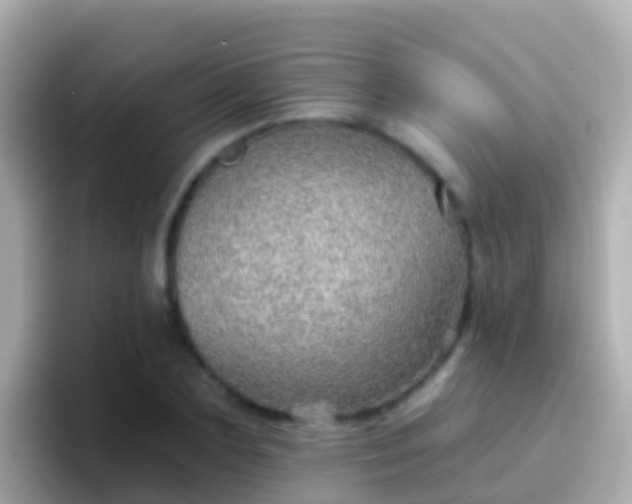 X0000096690883200802121230