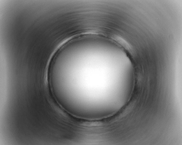 X0000096690884200802121230