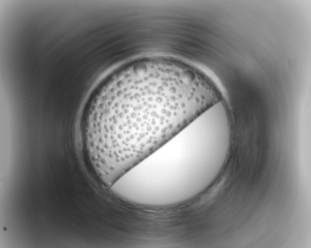 X0000096690887200802121230