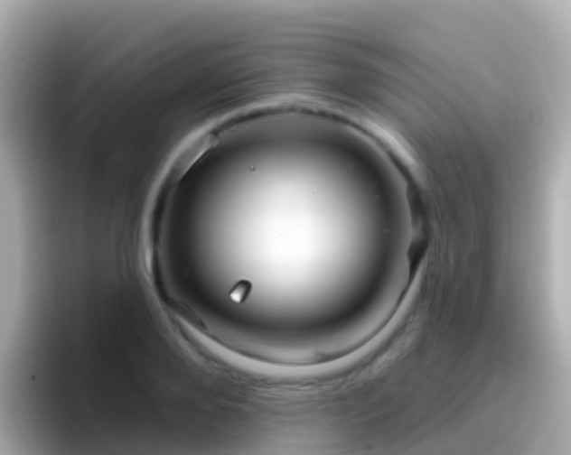 X0000096690888200802121230