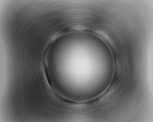 X0000096690889200802121230