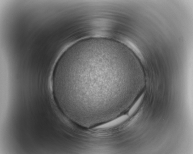 X0000096690891200802121230