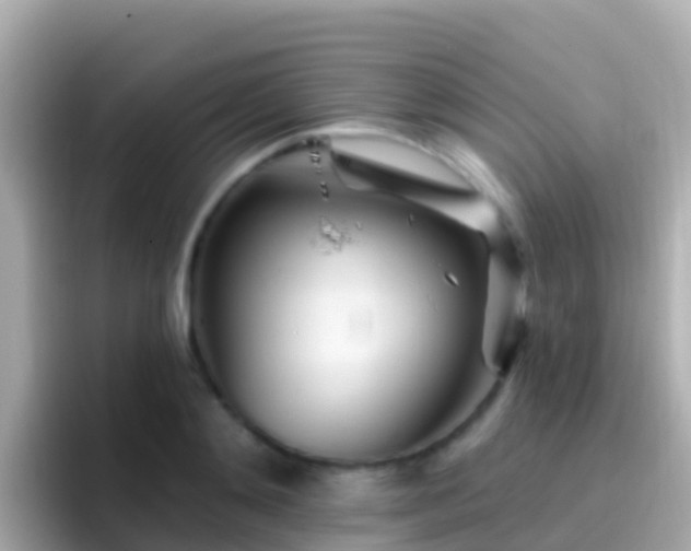 X0000096690892200802121230