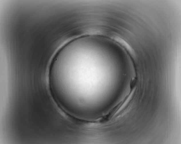 X0000096690894200802121230