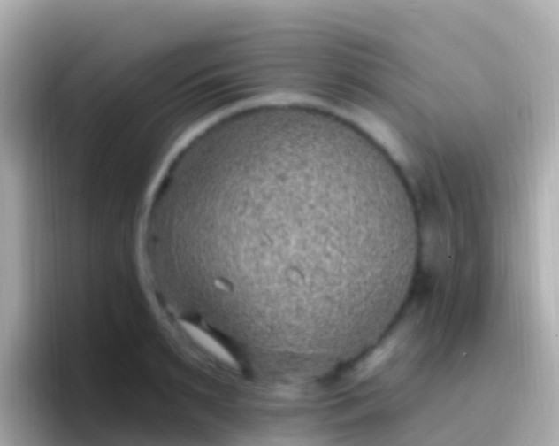 X0000096690895200802121230