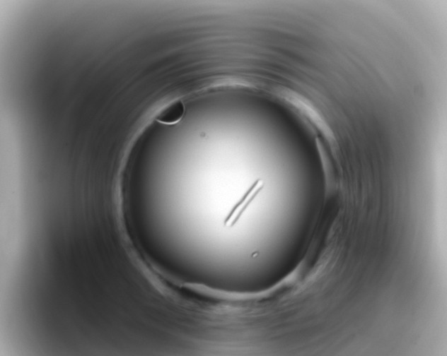 X0000096690898200802121230