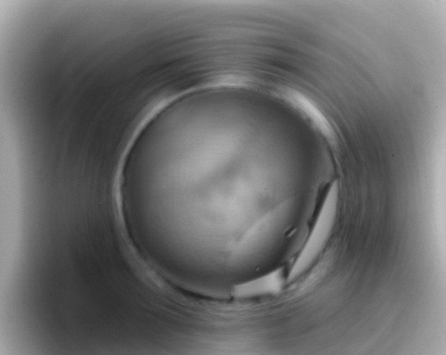 X0000096690899200802121230