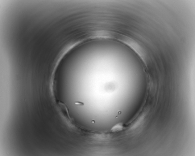 X0000096690901200802121230