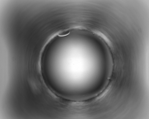 X0000096690902200802121230