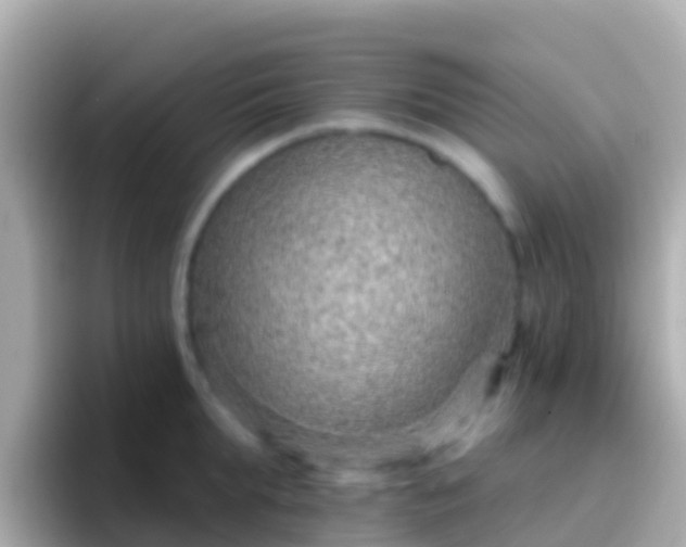 X0000096690903200802121230