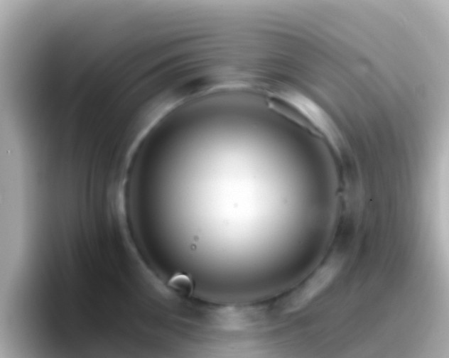 X0000096690906200802121230