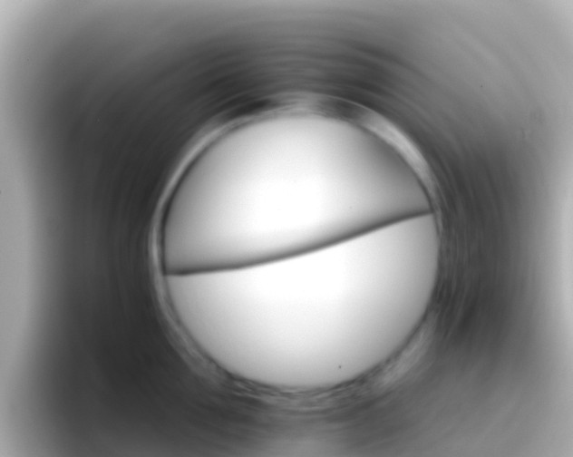 X0000096690907200802121229