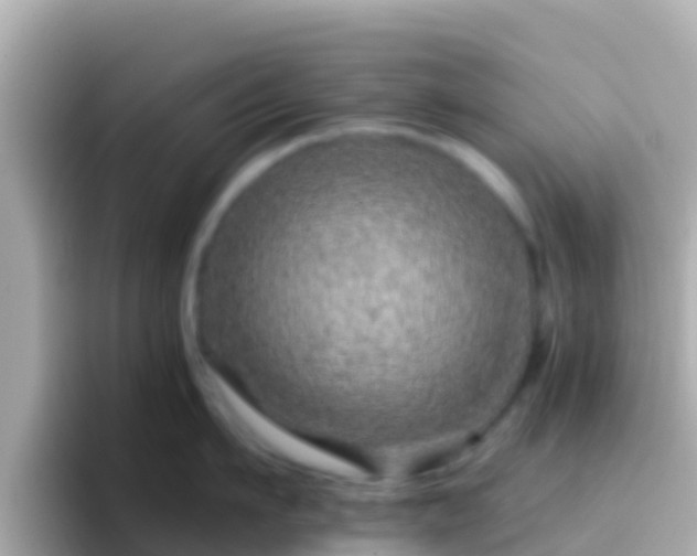 X0000096690911200802121229