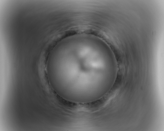 X0000096690913200802121229