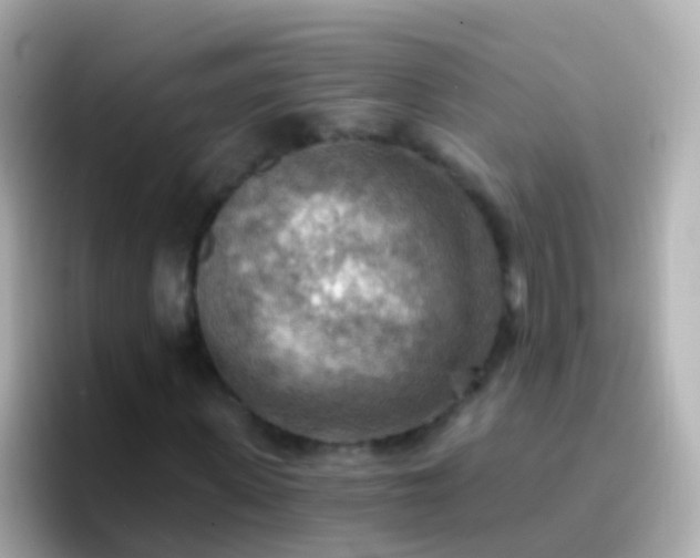 X0000096690915200802121229