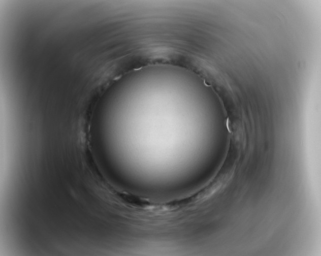 X0000096690916200802121229