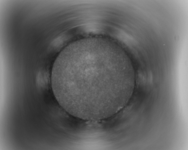 X0000096690918200802121229