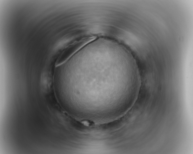 X0000096690920200802121229