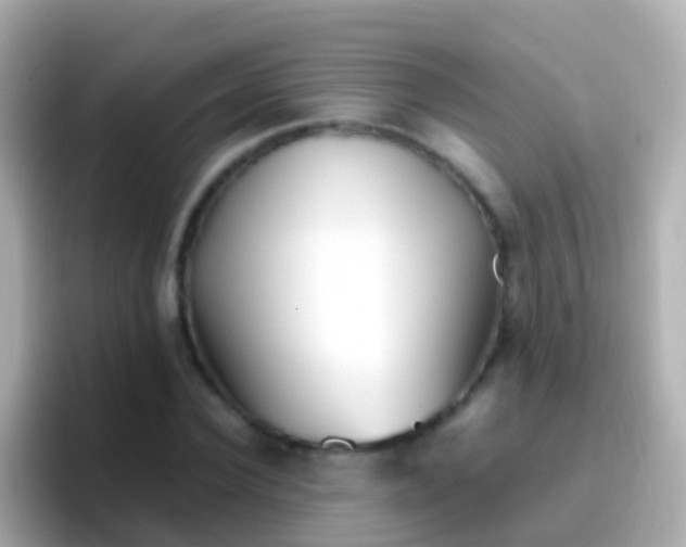 X0000096690924200802121229