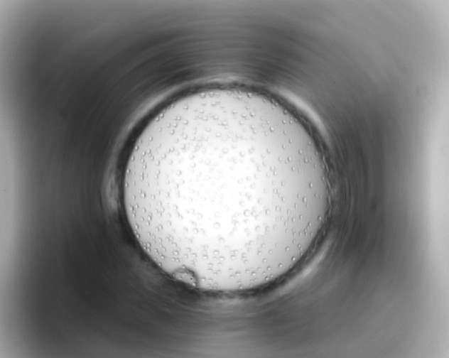 X0000096690925200802121229