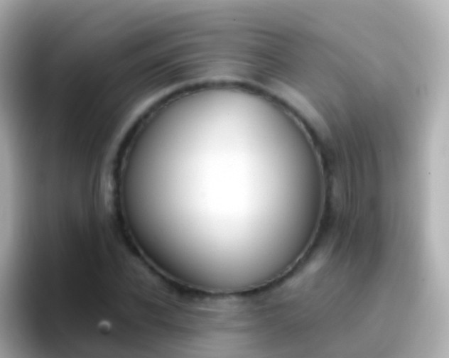 X0000096690926200802121229