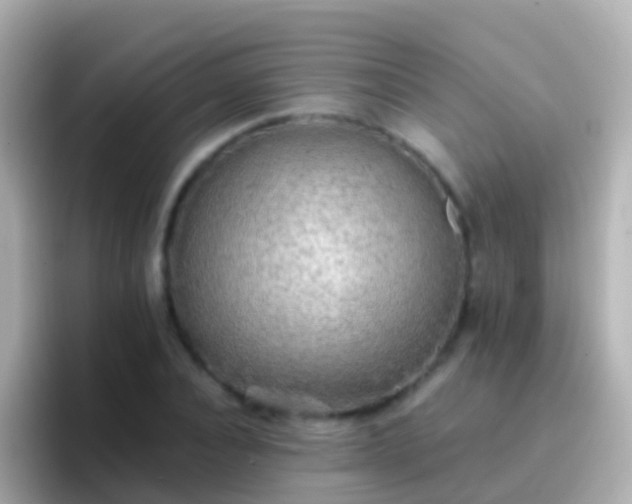 X0000096690928200802121229