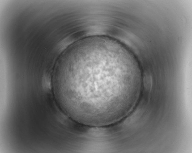 X0000096690929200802121229