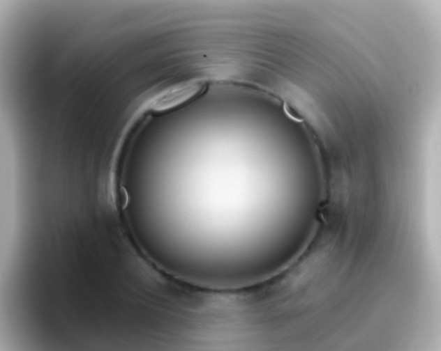 X0000096690932200802121229