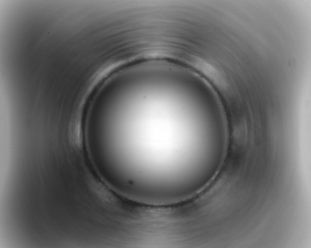 X0000096690934200802121229