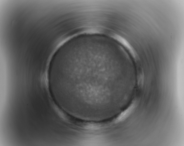 X0000096690935200802121229