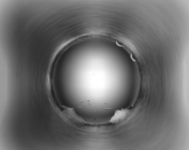 X0000096690936200802121229