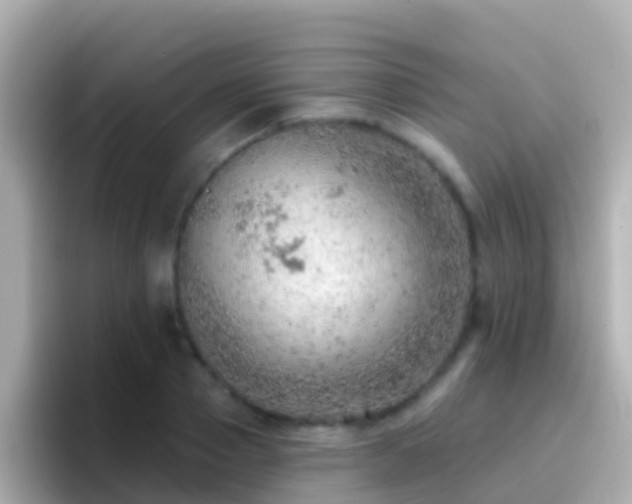 X0000096690937200802121229