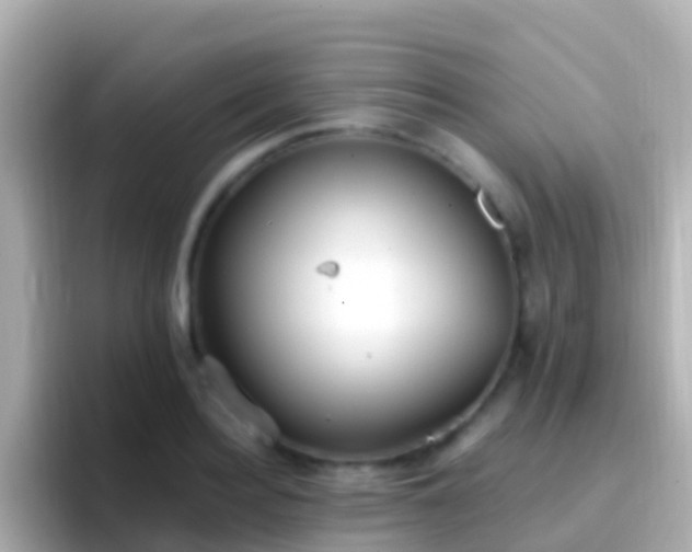 X0000096690940200802121229