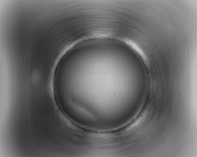 X0000096690941200802121229