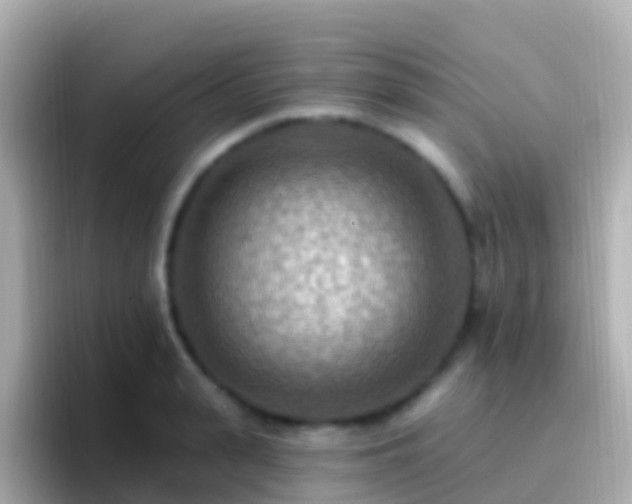 X0000096690943200802121229